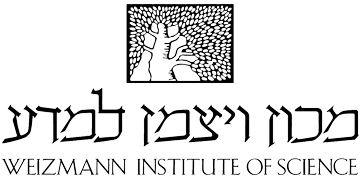 Logo 11